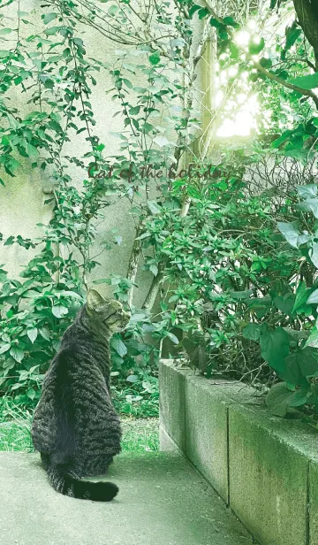 [LINE着せ替え] Cat of the holiday 13の画像1