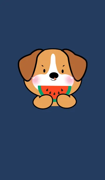 [LINE着せ替え] Face Beagle Dog Simple Theme (JP)の画像1