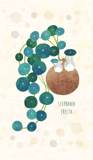 [LINE着せ替え] Plants -Stephania erecta-の画像1