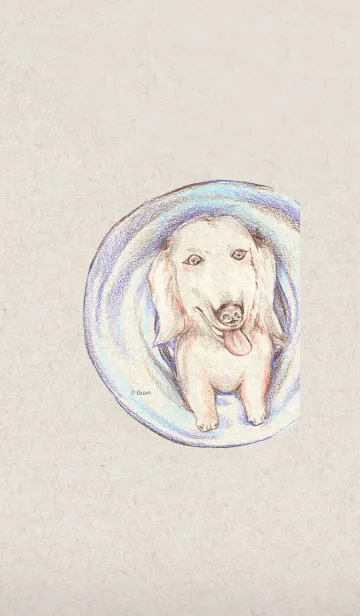 [LINE着せ替え] Lovely Dachshundの画像1