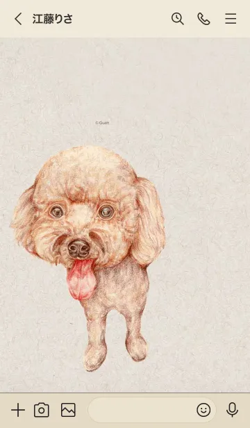 [LINE着せ替え] かわいい貴賓犬の画像3