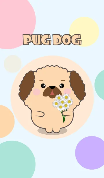 [LINE着せ替え] Color Cute Pug Dog  FuFu Theme (JP)の画像1