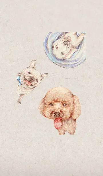 [LINE着せ替え] Collection of cute dogsの画像1