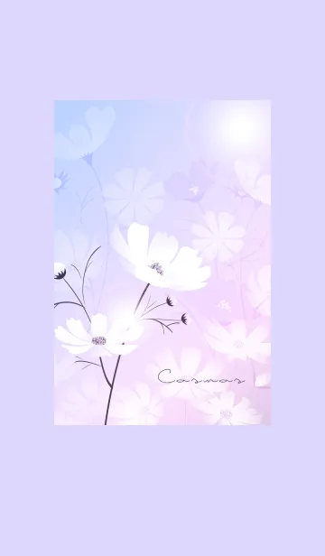 [LINE着せ替え] ～「秋桜」～♥パープル01_1の画像1