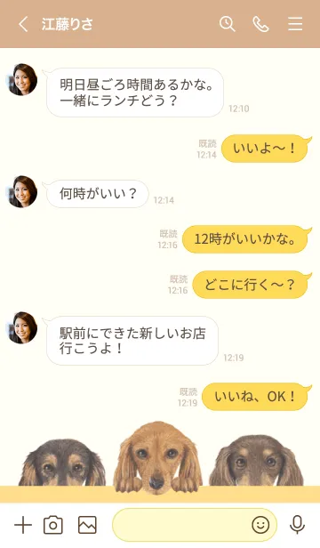 [LINE着せ替え] ワンワン - ダックス L - ベージュ×黄色の画像4