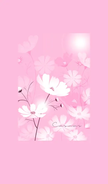 [LINE着せ替え] ～「秋桜」～♥ピンク07_1の画像1