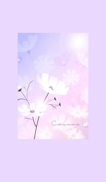 [LINE着せ替え] ～「秋桜」～♥パープル02_1の画像1