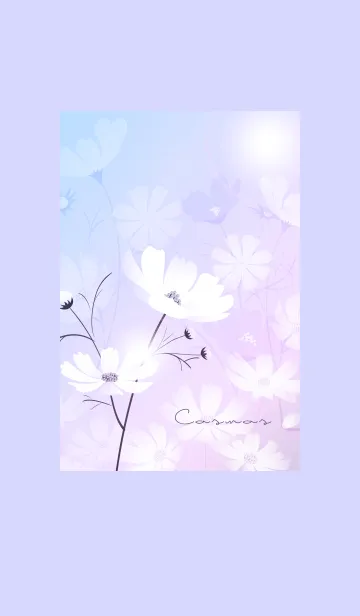 [LINE着せ替え] ～「秋桜」～♥ブルー03_1の画像1