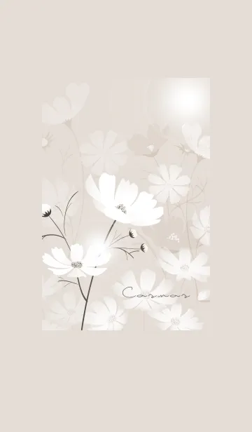 [LINE着せ替え] ～「秋桜」～♥ベージュ14_1の画像1