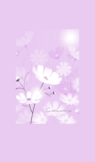 [LINE着せ替え] ～「秋桜」～♥パープル10_1の画像1