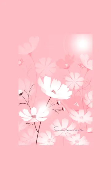 [LINE着せ替え] ～「秋桜」～♥ピンク08_1の画像1