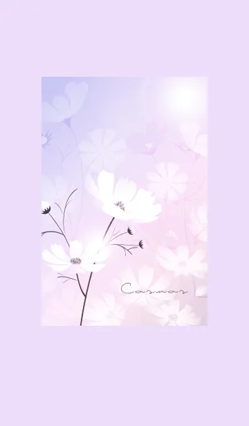 [LINE着せ替え] ～「秋桜」～♥パープル05_1の画像1