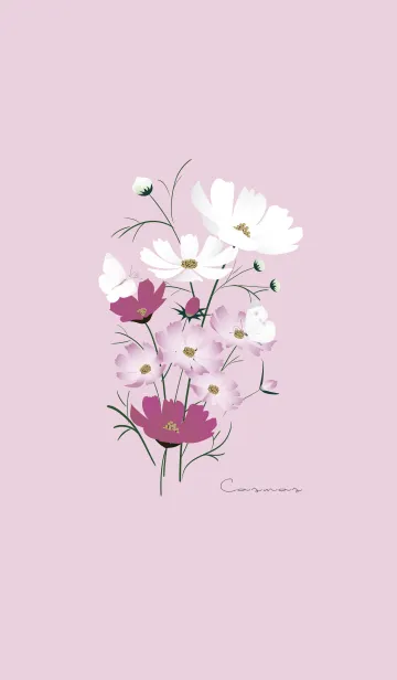 ～「秋桜」～♥ピンク16_1のLINE着せ替え