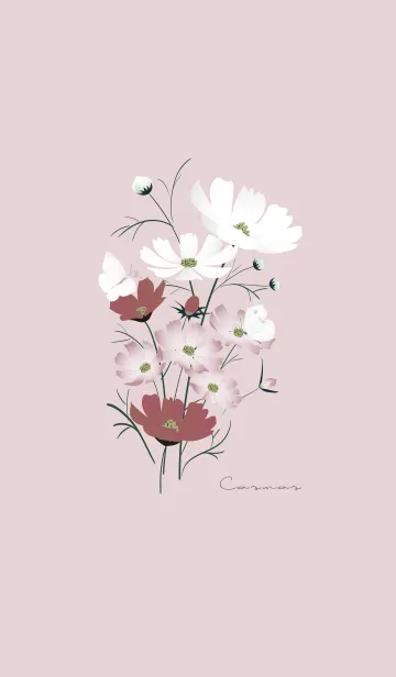 [LINE着せ替え] ～「秋桜」～♥ピンク21_1の画像1