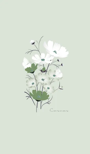 [LINE着せ替え] ～「秋桜」～♥グリーン24_1の画像1