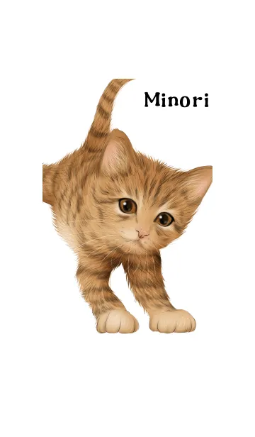 [LINE着せ替え] みのり用可愛い虎猫子猫の画像1
