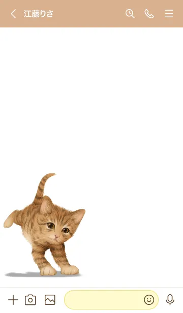 [LINE着せ替え] みのり用可愛い虎猫子猫の画像3