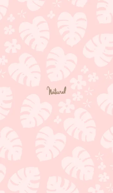 [LINE着せ替え] モンステラ 白 ランダム2の画像1