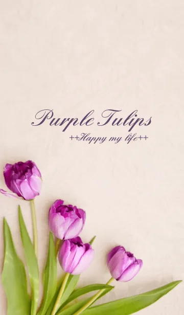 [LINE着せ替え] Purple Tulips～気高きあなたへ～の画像1