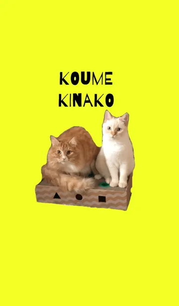 [LINE着せ替え] kohkinaの画像1