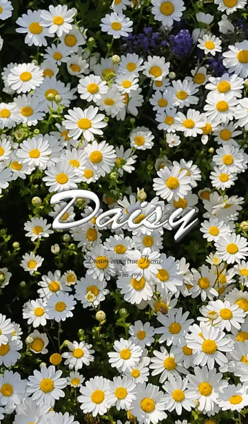 [LINE着せ替え] Daisy flower1の画像1