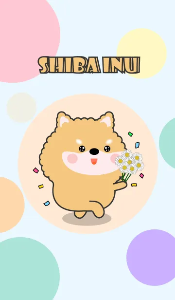 [LINE着せ替え] Color Cute Shiba Inu  FuFu Theme (JP)の画像1