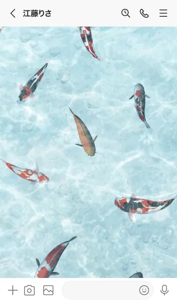 [LINE着せ替え] にしむら用和風鯉の画像3