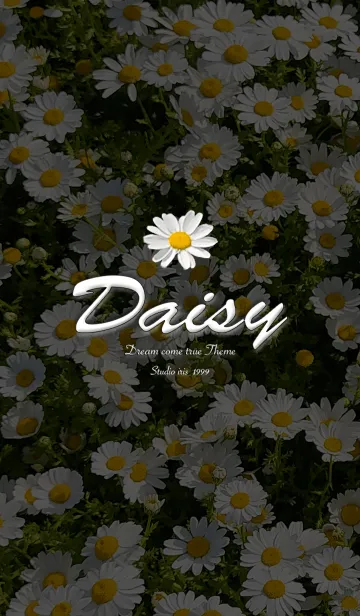 [LINE着せ替え] Daisy flower2の画像1