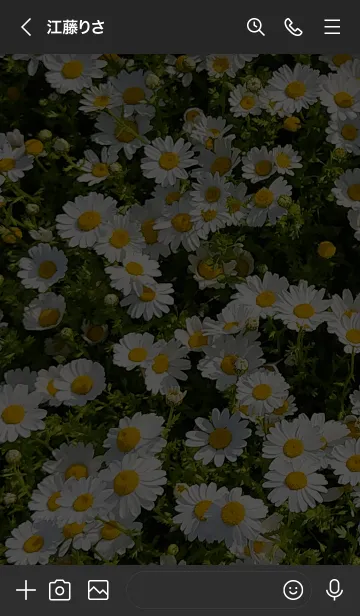 [LINE着せ替え] Daisy flower2の画像3