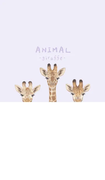 [LINE着せ替え] ANIMAL - キリン - 藤 むらさきの画像1