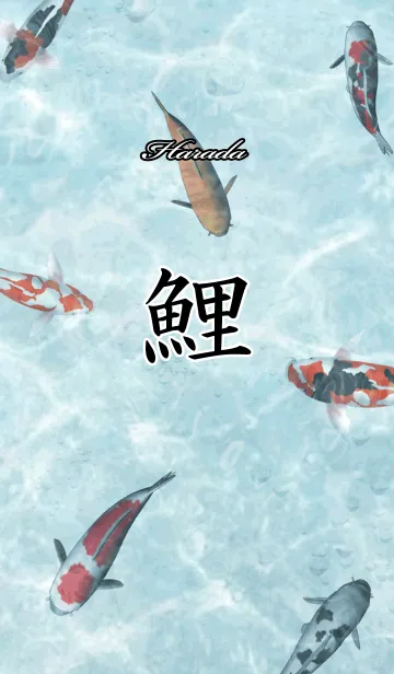 [LINE着せ替え] はらだ用和風鯉の画像1