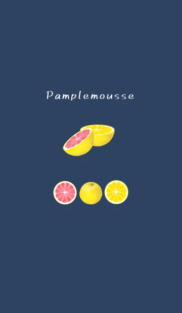 [LINE着せ替え] Pamplemousse ネイビーの画像1