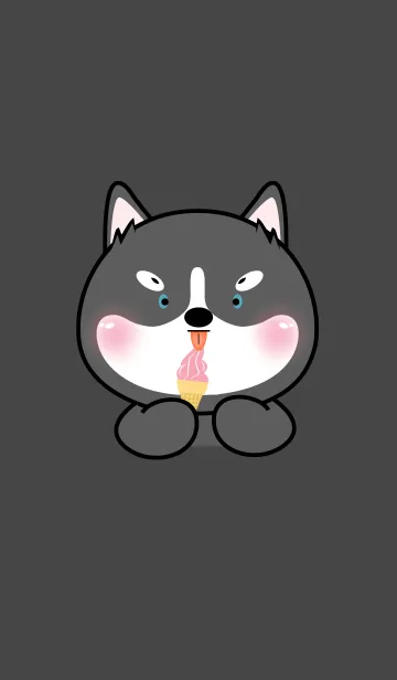 [LINE着せ替え] Face Siberian Husky Simple Theme (JP)の画像1