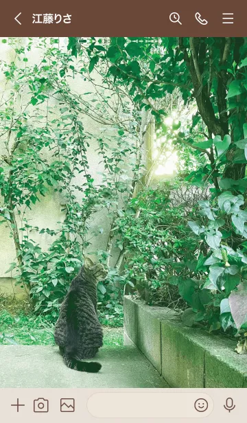 [LINE着せ替え] Cat of the holiday 16の画像3