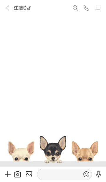 [LINE着せ替え] ワンワン - チワワ - 白×灰色の画像3