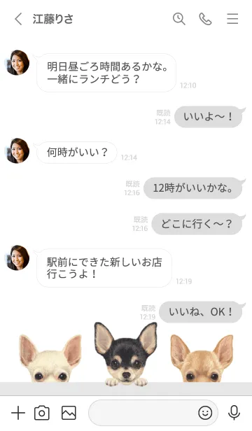 [LINE着せ替え] ワンワン - チワワ - 白×灰色の画像4