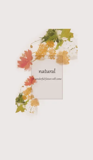 [LINE着せ替え] ナチュラルライフにコスモスを添えて・2の画像1