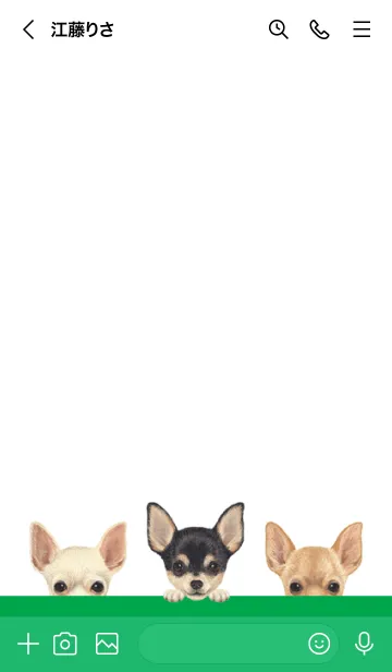 [LINE着せ替え] ワンワン！ - チワワ - 白×緑色の画像3