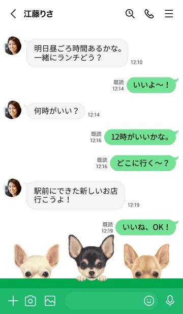 [LINE着せ替え] ワンワン！ - チワワ - 白×緑色の画像4