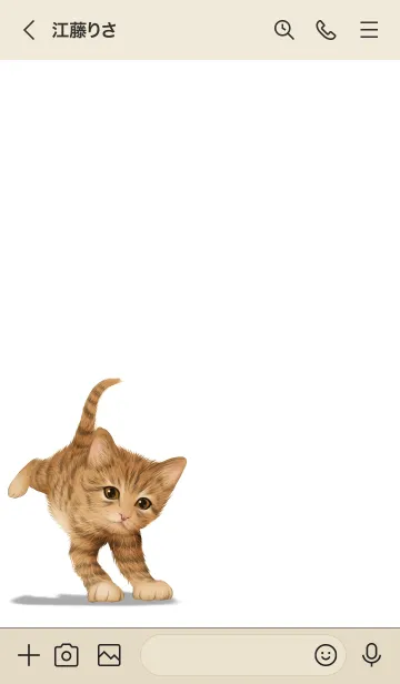 [LINE着せ替え] あまと用可愛い虎猫子猫の画像3