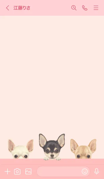 [LINE着せ替え] ワンワン！ - チワワ - 桜 ピンクの画像3