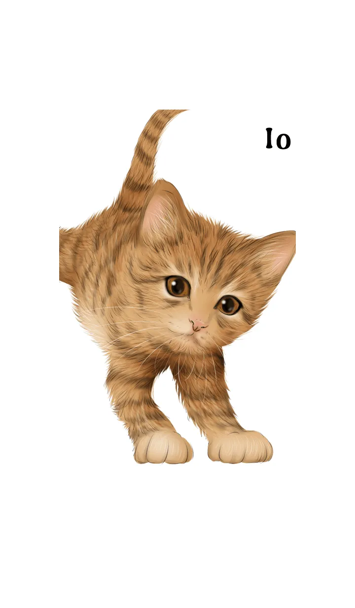 [LINE着せ替え] いお用可愛い虎猫子猫の画像1