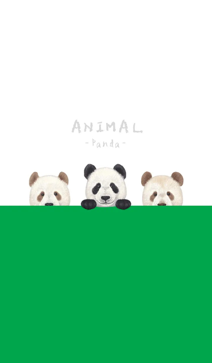 [LINE着せ替え] ANIMAL - パンダ - 白×緑色の画像1