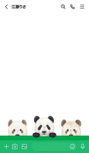 [LINE着せ替え] ANIMAL - パンダ - 白×緑色の画像3