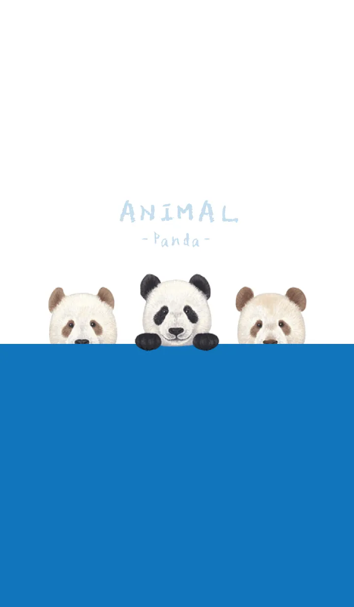 [LINE着せ替え] ANIMAL - パンダ - 白×青色の画像1