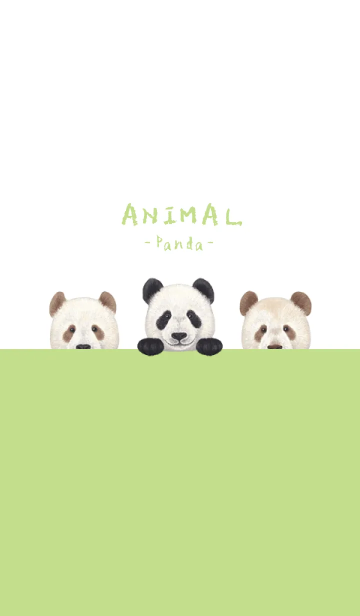 [LINE着せ替え] ANIMAL - パンダ - 白×黄緑色の画像1