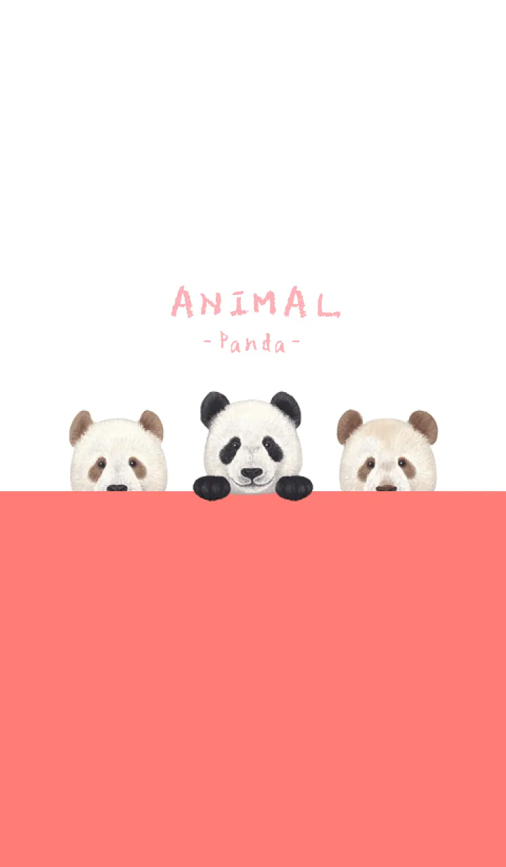 [LINE着せ替え] ANIMAL - パンダ - 白×赤色の画像1