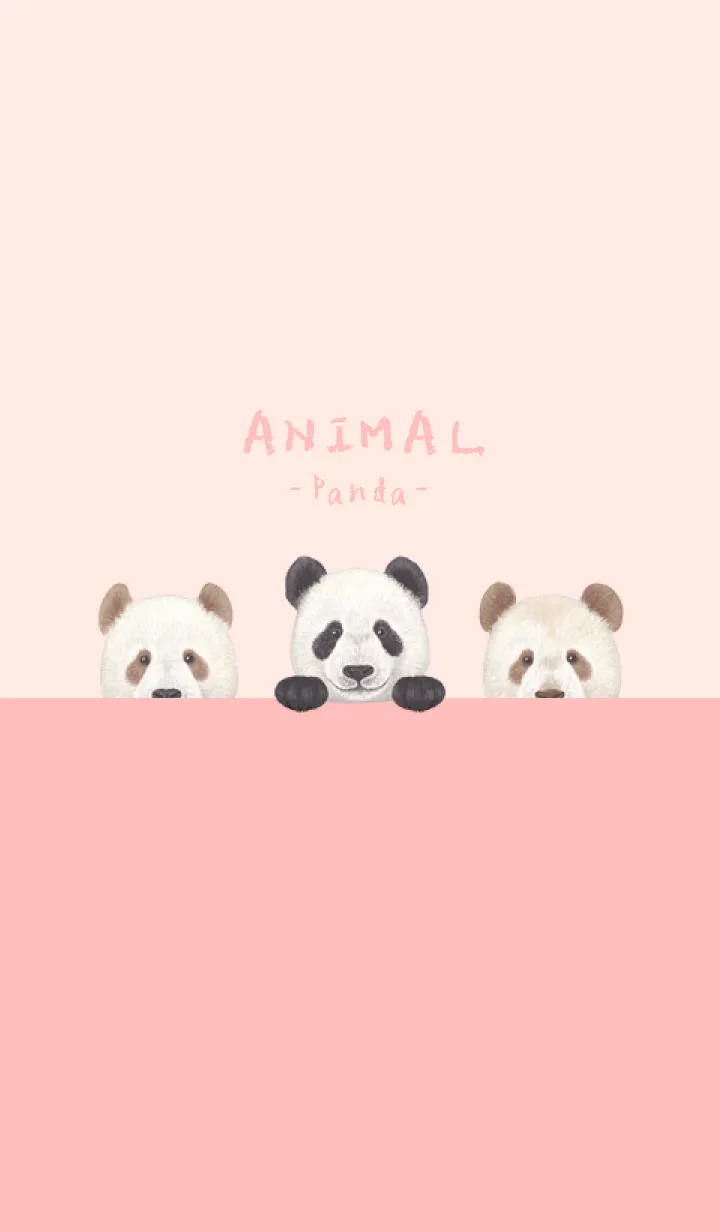 [LINE着せ替え] ANIMAL - パンダ - 桜 ピンクの画像1