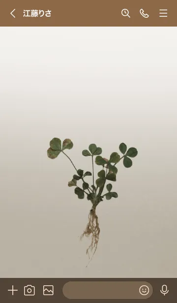 [LINE着せ替え] 白詰草～Trifolium repens～の画像3