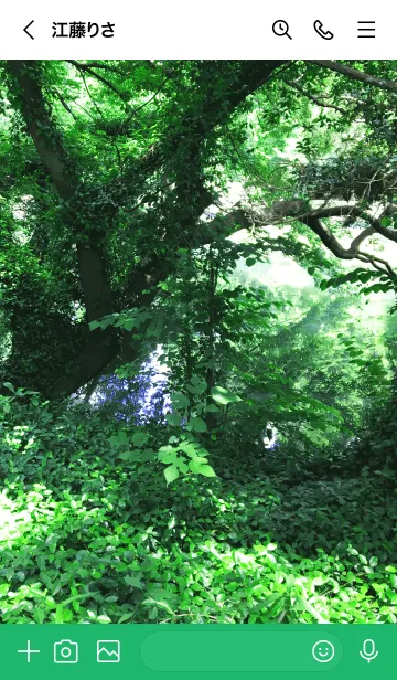 [LINE着せ替え] komorebi -MEKYM- 19の画像3